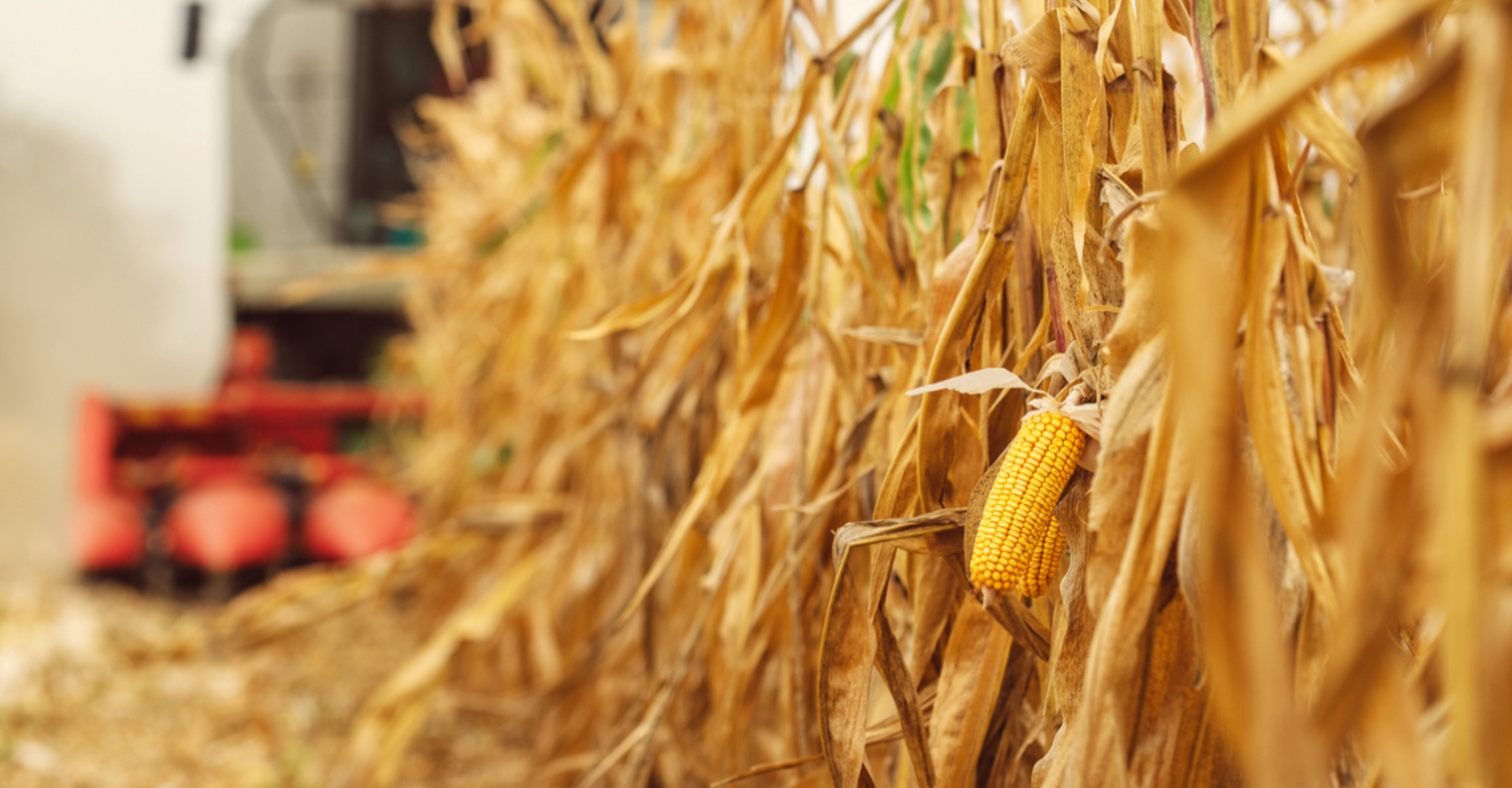 AK(中国)AK官方网站